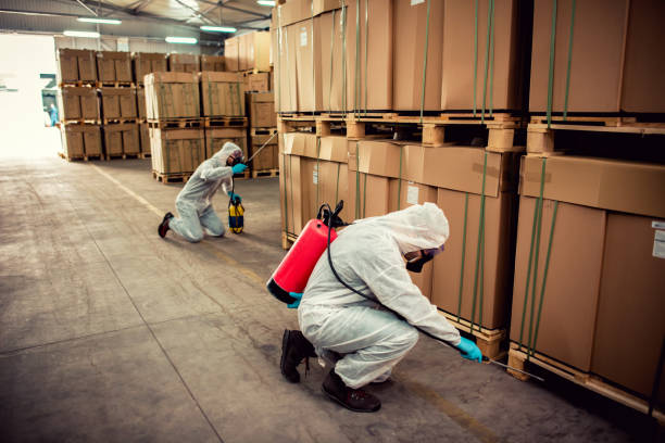 Best Pest Control Near Me  in Laurel, DE