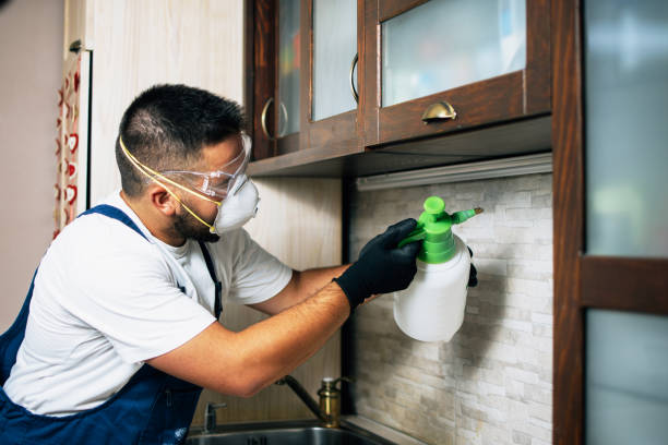 Reliable Laurel, DE Pest Control Solutions