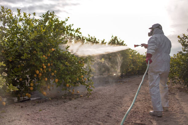 Best Local Pest Control Services  in Laurel, DE