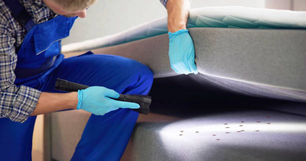 Best Affordable Pest Control Services  in Laurel, DE